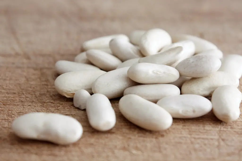 Todo sobre los porotos Maru Botana